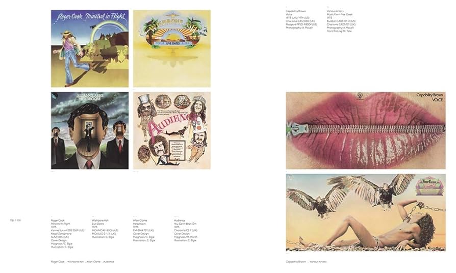 Vinyl Album Cover Art 洋書 51nM0NIbPlL._UF350,350_QL50_.jpg